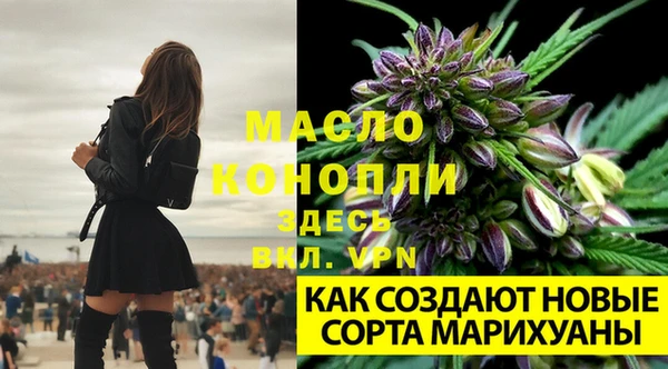 гидра Верея