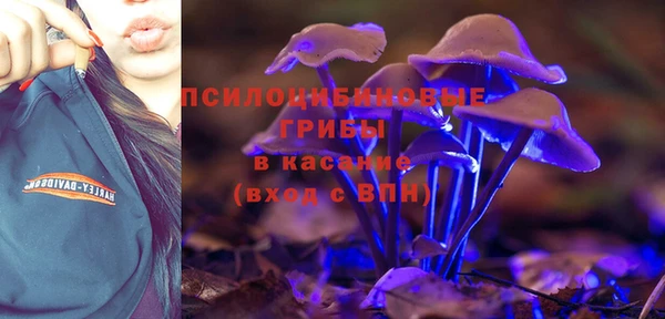 гидра Верея